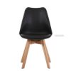 Picture of Test No Order - EFRON Dining Chair (Multiple Colours)