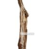 Picture of Test No Order - DECO Solid Teak Wood Floor Standing (2 Sizes)