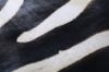 Picture of Test No Order - ZEBRA Mat/Carpet  (Genuine Cowhide)