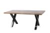 Picture of Test No Order - GALLOP 180 Dining Table (Live Edge)