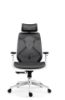 Picture of Test No Order - 2077 Ergonomic Office Chair