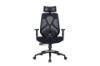 Picture of Test No Order - VALENCIA Ergonomic Office Chair (Black)