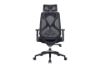 Picture of Test No Order - VALENCIA Ergonomic Office Chair (Black)