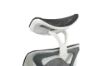 Picture of Test No Order - 2077 Ergonomic Office Chair