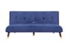 Picture of Test No Order - COMO Sofa Bed (Blue)