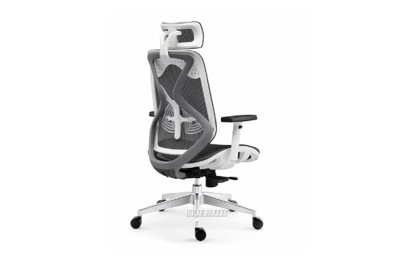 Picture of Test No Order - 2077 Ergonomic Office Chair