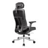 Picture of Test No Order - MARKUS PU Ergonomic Office Chair (Black)