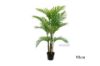 Picture of Test No Order - ARTIFICIAL PLANT Palm (Black Plastic Pot) - H150cm