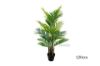 Picture of Test No Order - ARTIFICIAL PLANT H90/H120/H150/H200cm Palm (Black Plastic Pot)