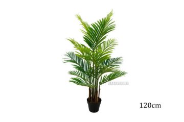 Picture of Test No Order - ARTIFICIAL PLANT Palm (Black Plastic Pot) - H150cm