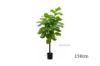 Picture of Test No Order - Artificial Plant  Fiddle Leaf (Black Plastic Pot) - 150cm