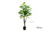 Picture of Test No Order - Artificial Plant 120/150/180cm Fiddle Leaf (Black Plastic Pot)