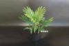 Picture of Test No Order - ARTIFICIAL PLANT 28/85/120cm Palm (Black Plastic Pot)