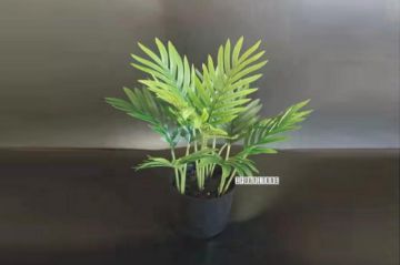 Picture of Test No Order - ARTIFICIAL PLANT 28/85/120cm Palm (Black Plastic Pot)