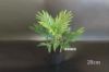 Picture of Test No Order - ARTIFICIAL PLANT 28/85/120cm Palm (Black Plastic Pot)