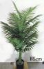 Picture of Test No Order - ARTIFICIAL PLANT 28/85/120cm Palm (Black Plastic Pot)