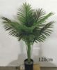 Picture of Test No Order - ARTIFICIAL PLANT 28/85/120cm Palm (Black Plastic Pot)