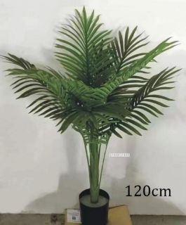 Picture of Test No Order - Artificial Plant Palm *Black Plastic Pot - 120cm