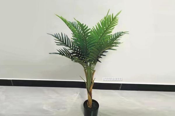 Picture of Test No Order - Artificial Plant 90cm Chrysalidocarpus *Black Plastic Pot