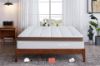 Picture of Test No Order - [MEDIUM FIRM] DREAMLAND Gel Memory Foam Latex Pocket Spring Mattress in Queen/King/Super King