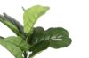 Picture of Test No Order - Artificial Plant 33cm Fiddle Leaf *Black Plastic Pot