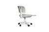 Picture of Test No Order - GORILLA Office Chair