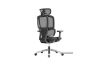 Picture of Test No Order - H2 Yoga Based Ergonomic Chair with 30° Swing Back Function