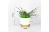 Picture of Test No Order - ARTIFICIAL PLANT 280 with Vase (14cm x 36cm)