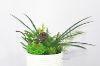 Picture of Test No Order - ARTIFICIAL PLANT 280 with Vase (14cm x 36cm)