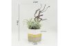 Picture of Test No Order - ARTIFICIAL PLANT 281 with Vase (20cm x 28cm)