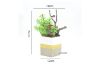 Picture of Test No Order - ARTIFICIAL PLANT 283 with Vase (18cm x 24cm)