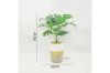 Picture of Test No Order - ARTIFICIAL PLANT 284 with Vase (34cm x 45cm)