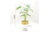 Picture of Test No Order - ARTIFICIAL PLANT 282 with Vase (14.5cm x 50cm)