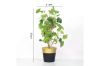 Picture of Test No Order - ARTIFICIAL PLANT 286 with Vase (31cm x 50cm)