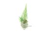 Picture of Test No Order - ARTIFICIAL PLANT 287 with Vase (6.5cm x 20cm)