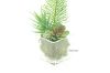 Picture of Test No Order - ARTIFICIAL PLANT 287 with Vase (6.5cm x 20cm)