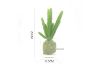 Picture of Test No Order - ARTIFICIAL PLANT 288 with Vase (6.5cm x 20cm)