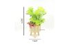 Picture of Test No Order - ARTIFICIAL PLANT 290 with Vase (15cm x 38cm)