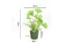 Picture of Test No Order - ARTIFICIAL PLANT 292 with Moss Vase (20cm x 28cm)