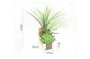 Picture of Test No Order - ARTIFICIAL PLANT 294 with Wooden Look Vase (20cm x 35cm)