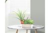 Picture of Test No Order - ARTIFICIAL PLANT 294 with Wooden Look Vase (20cm x 35cm)