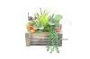 Picture of Test No Order - ARTIFICIAL PLANT 295 with Wooden Look Vase (23cm x 25cm)