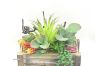 Picture of Test No Order - ARTIFICIAL PLANT 295 with Wooden Look Vase (23cm x 25cm)