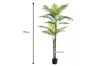 Picture of Test No Order - ARTIFICIAL PLANT Palm (140cm/195cm)