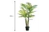 Picture of Test No Order - ARTIFICIAL PLANT Palm (140cm/195cm)