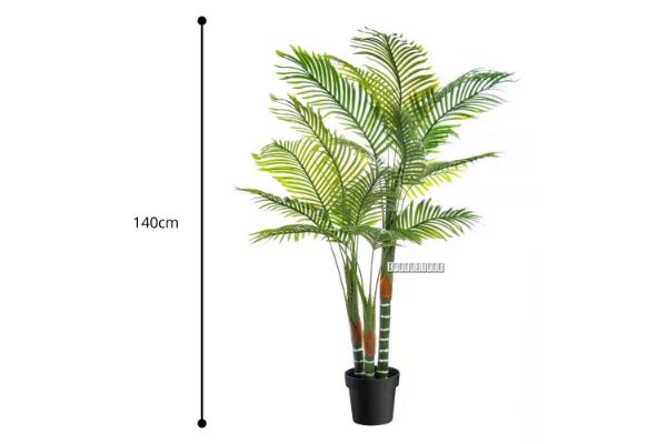 Picture of Test No Order - ARTIFICIAL PLANT Palm - 140cm