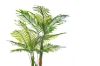 Picture of Test No Order - ARTIFICIAL PLANT Palm - 195cm