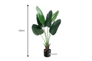 Picture of Test No Order - Tropical Banana Leaf - 120cm