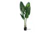 Picture of Test No Order - ARTIFICIAL PLANT Tropical Banana Leaf (120cm/180cm)