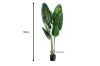 Picture of Test No Order - ARTIFICIAL PLANT Tropical Banana Leaf (120cm/180cm)